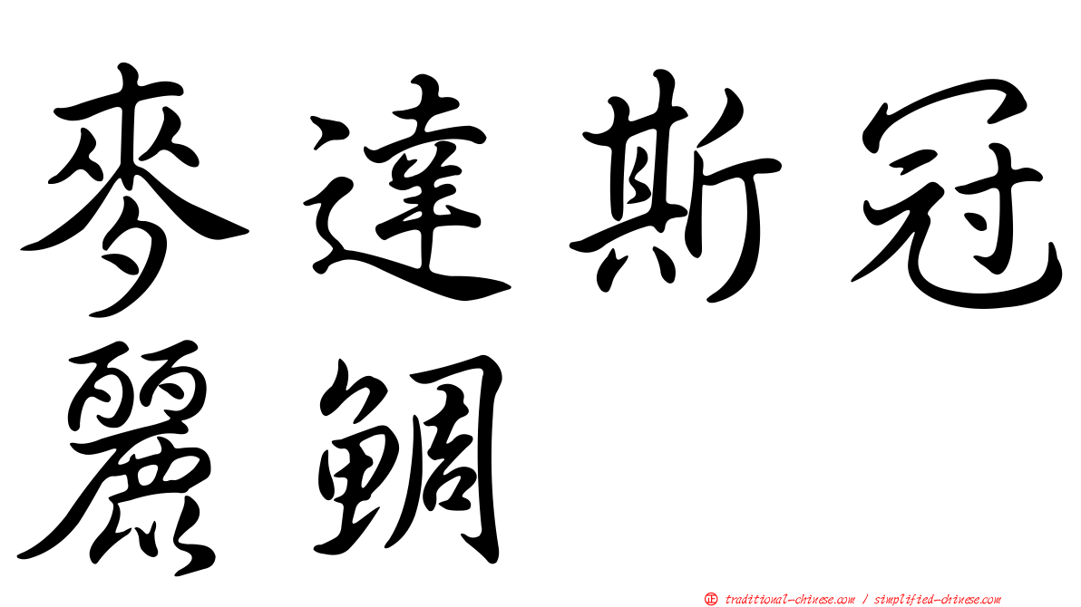 麥達斯冠麗鯛