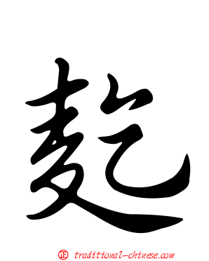 麧