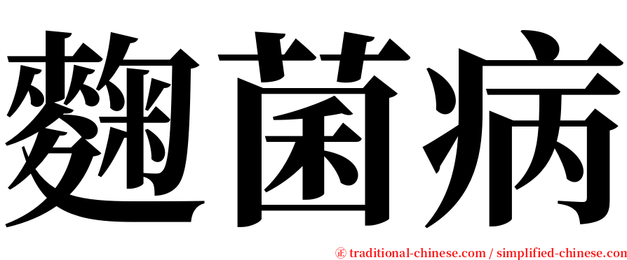 麴菌病 serif font