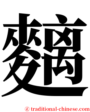 麶 serif font