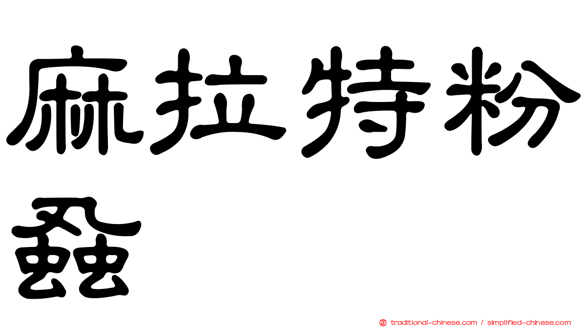 麻拉特粉蝨