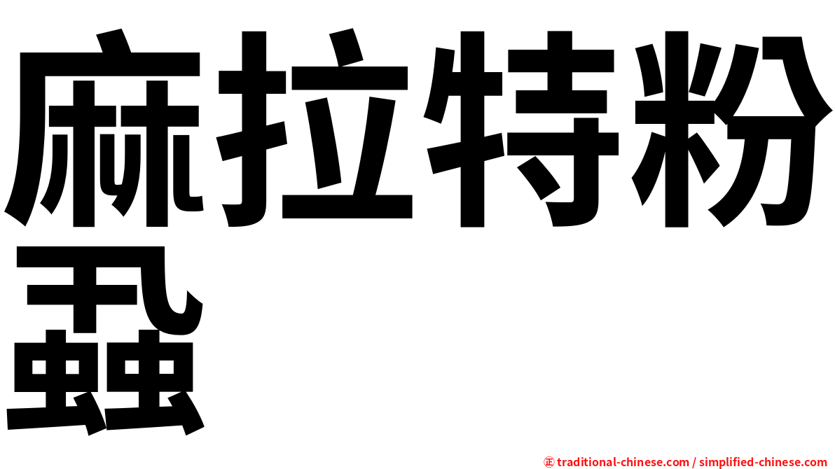 麻拉特粉蝨