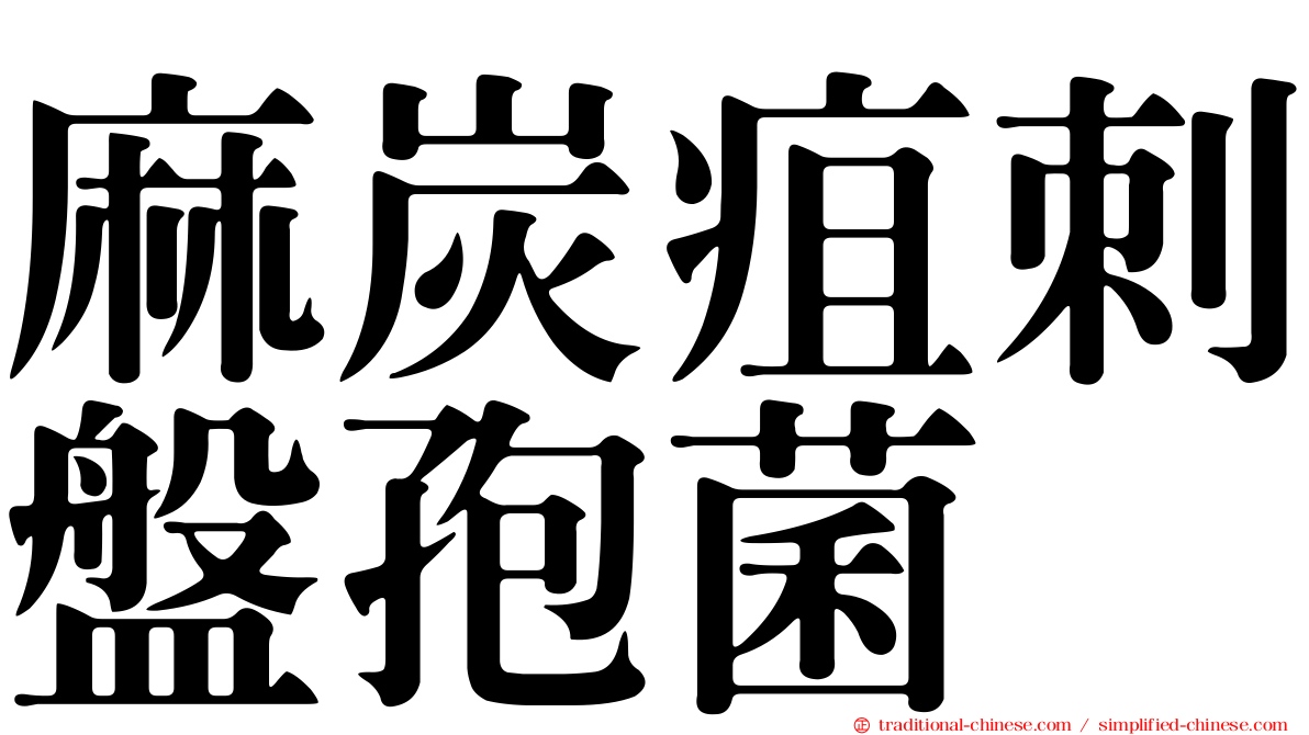 麻炭疽刺盤孢菌