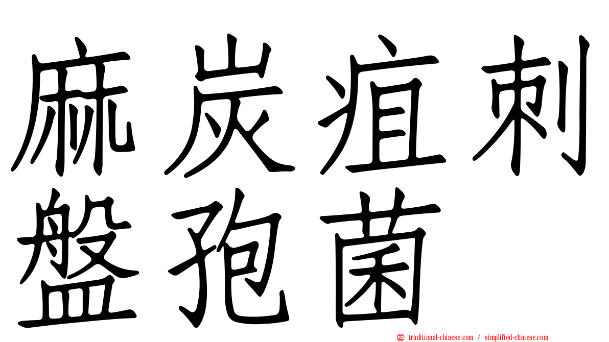 麻炭疽刺盤孢菌