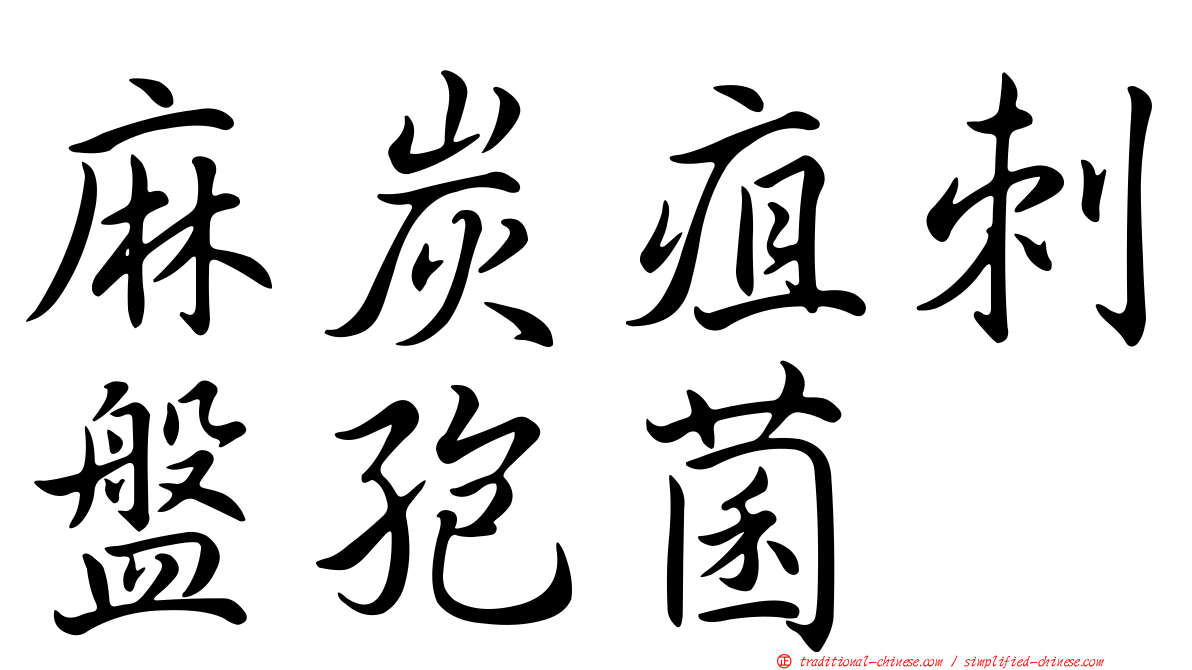 麻炭疽刺盤孢菌