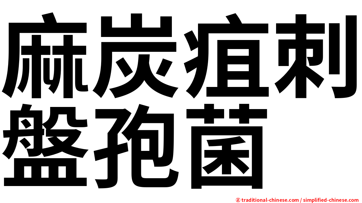 麻炭疽刺盤孢菌