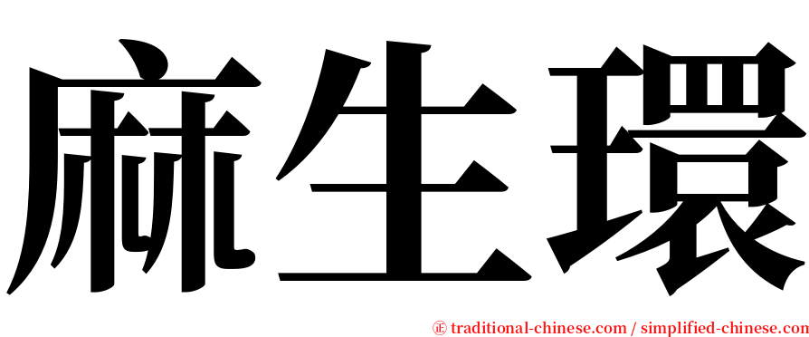 麻生環 serif font