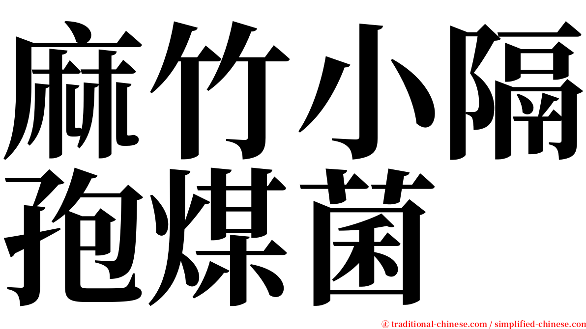 麻竹小隔孢煤菌 serif font