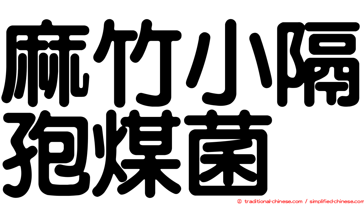 麻竹小隔孢煤菌
