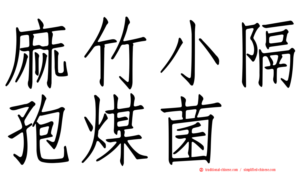 麻竹小隔孢煤菌