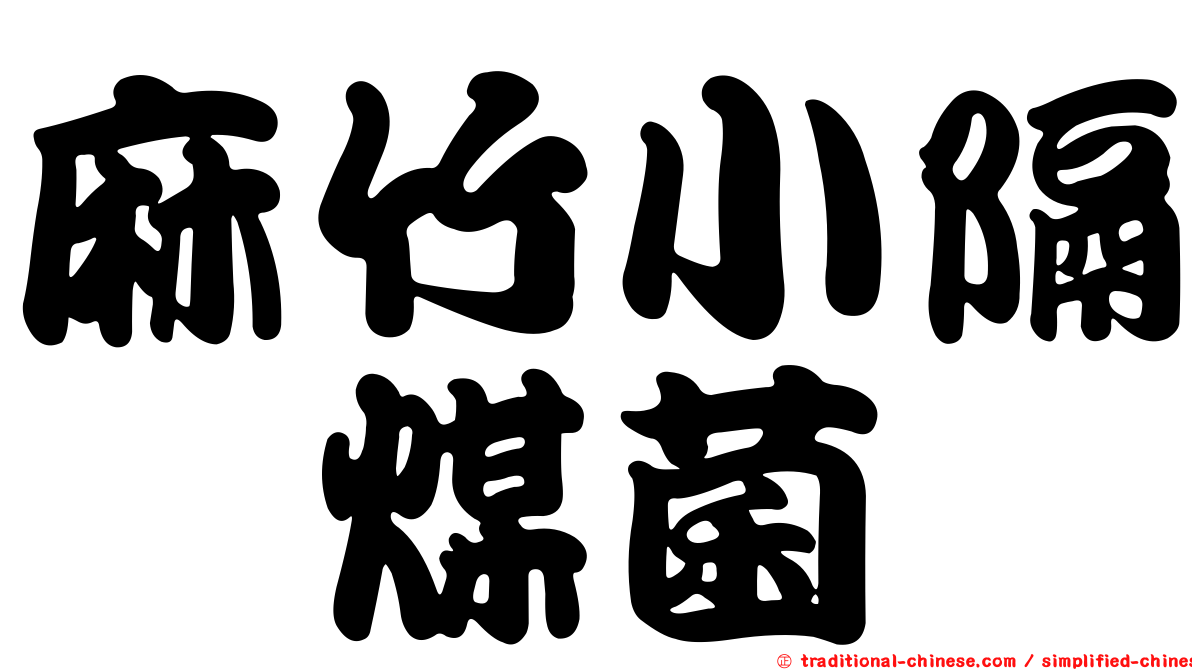 麻竹小隔孢煤菌