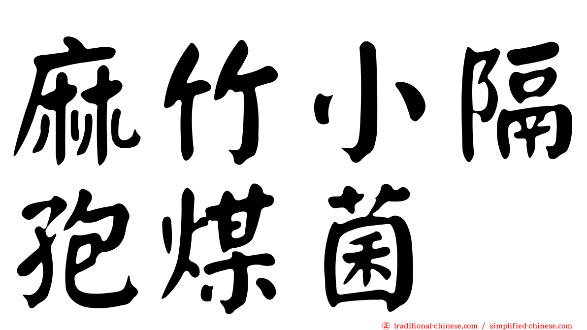 麻竹小隔孢煤菌