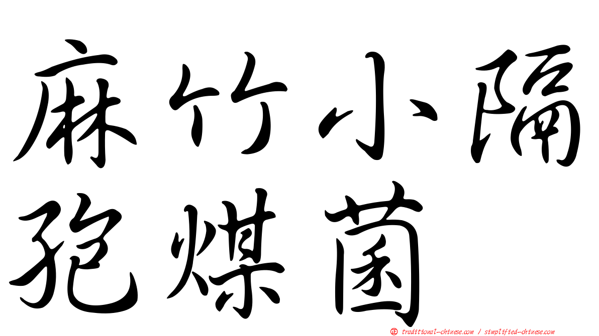 麻竹小隔孢煤菌