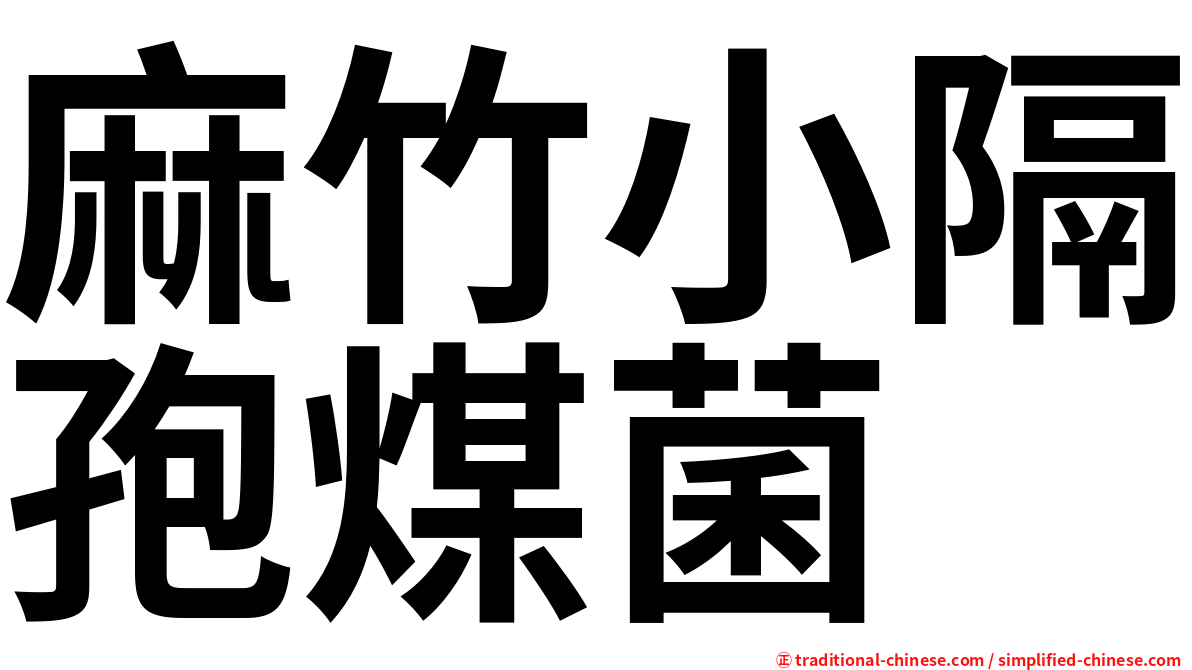 麻竹小隔孢煤菌