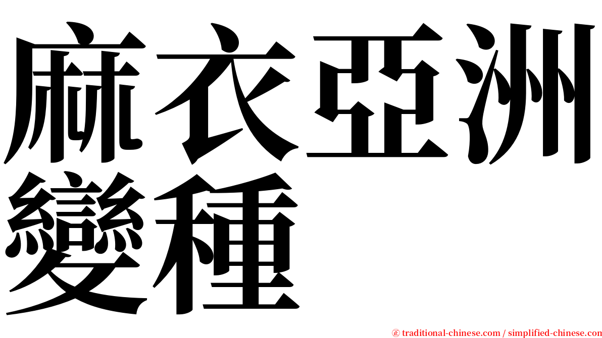 麻衣亞洲變種 serif font