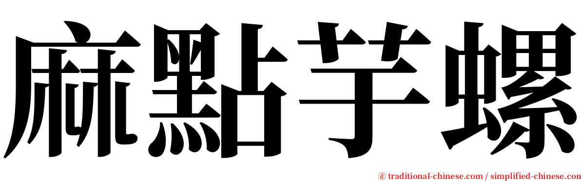麻點芋螺 serif font