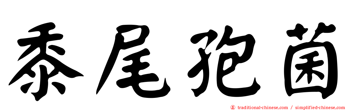 黍尾孢菌