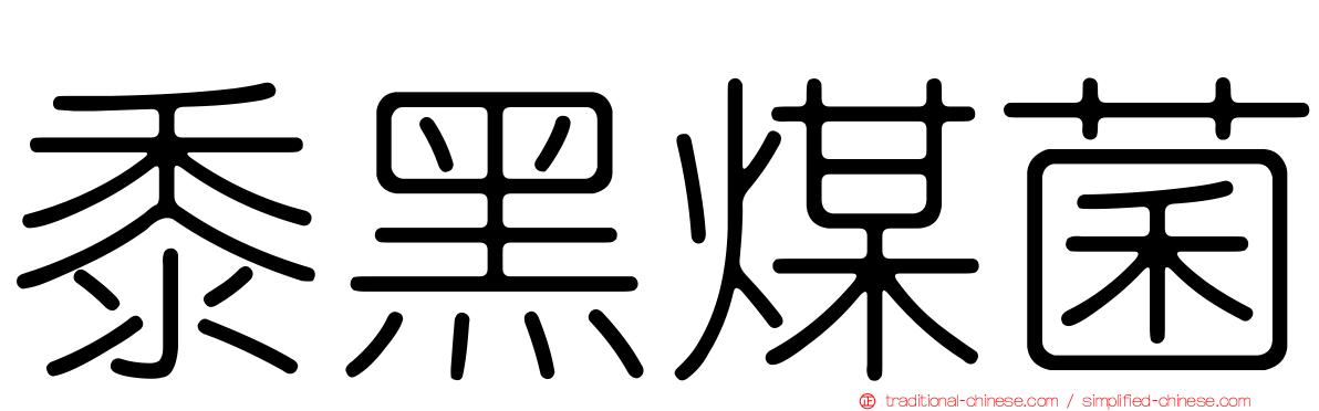 黍黑煤菌