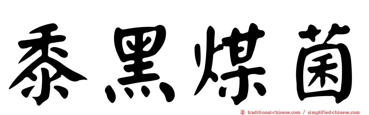 黍黑煤菌