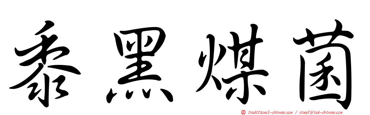 黍黑煤菌
