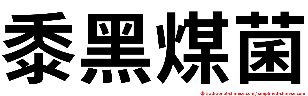 黍黑煤菌