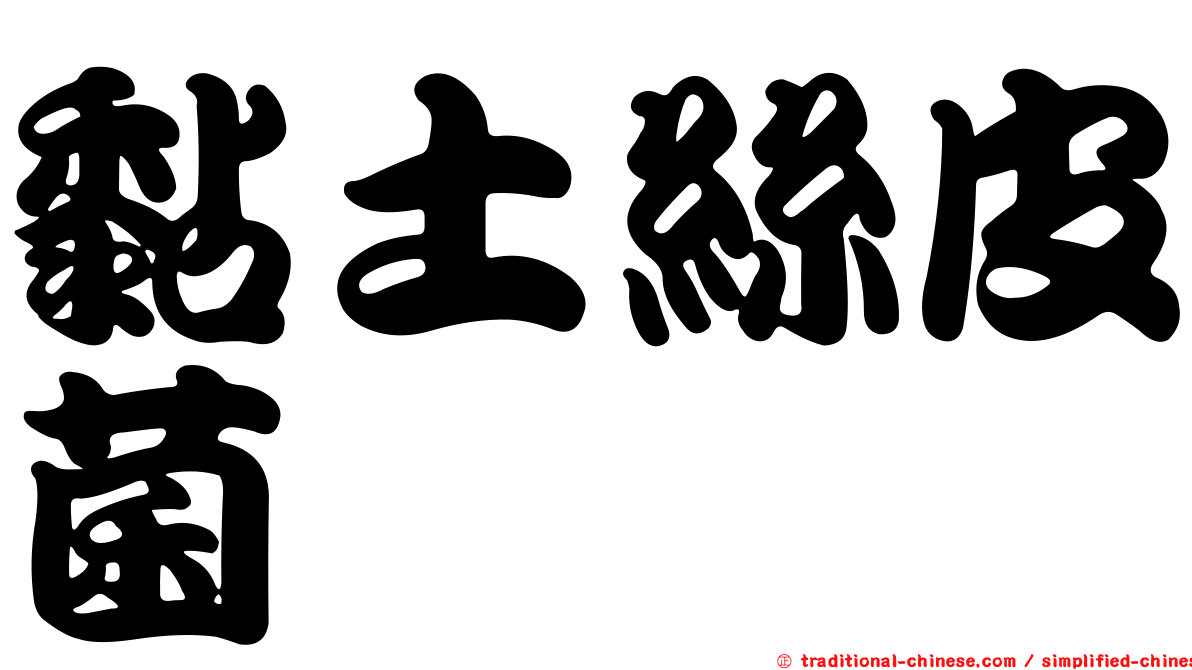黏土絲皮菌