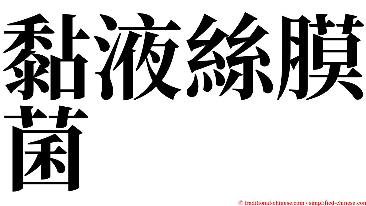 黏液絲膜菌 serif font