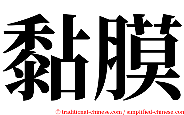 黏膜 serif font