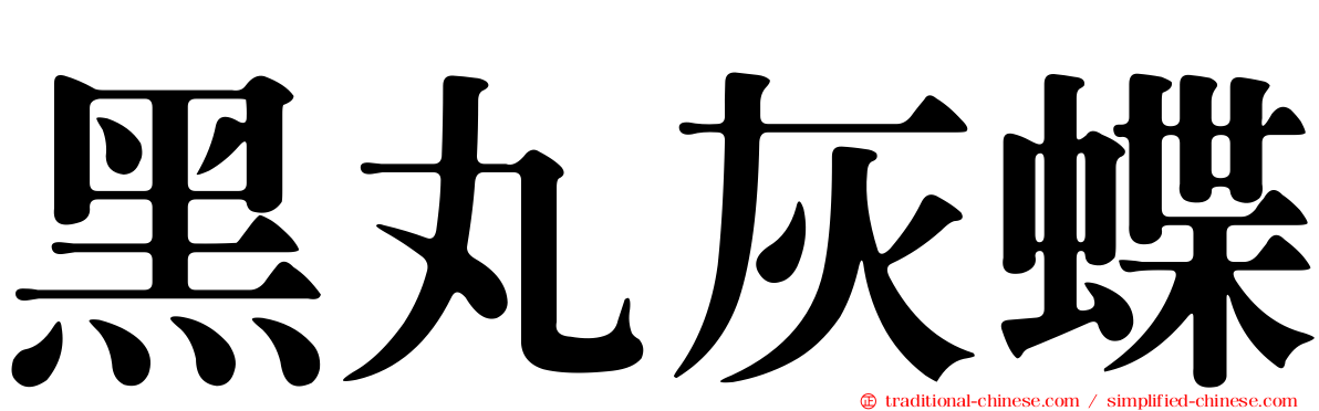 黑丸灰蝶