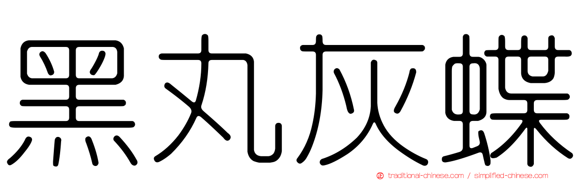 黑丸灰蝶