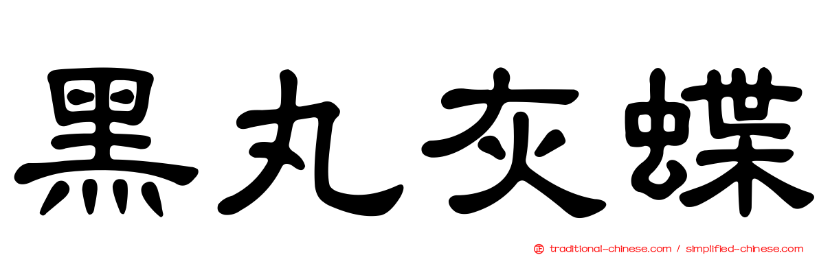 黑丸灰蝶