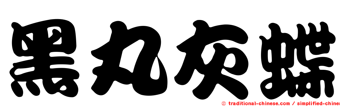 黑丸灰蝶