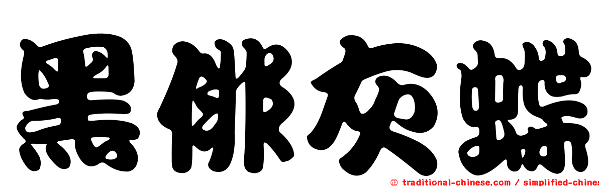 黑俳灰蝶