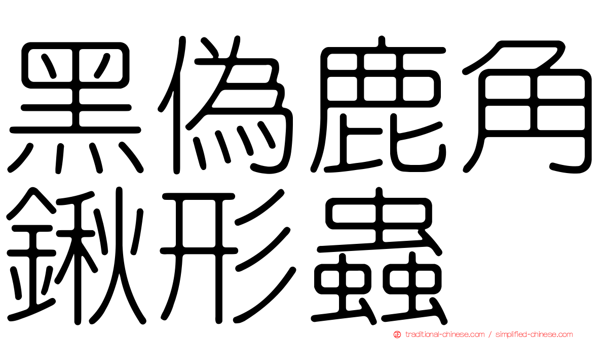 黑偽鹿角鍬形蟲