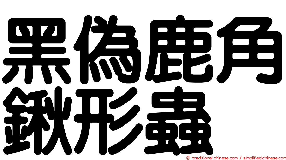 黑偽鹿角鍬形蟲