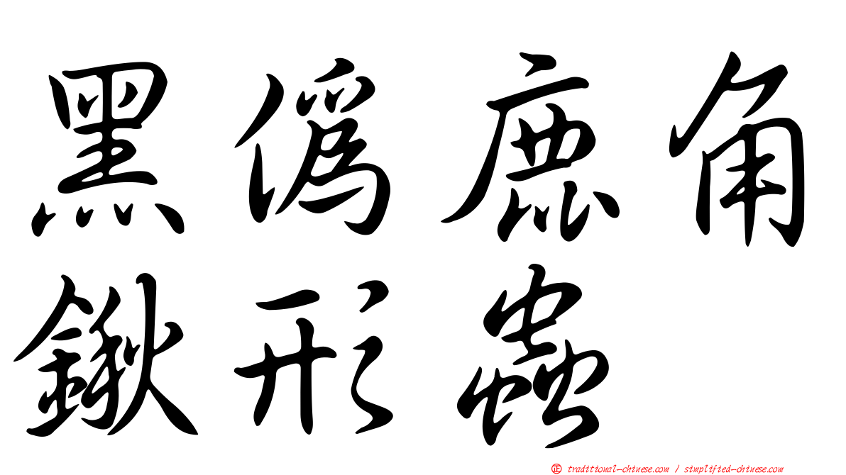 黑偽鹿角鍬形蟲