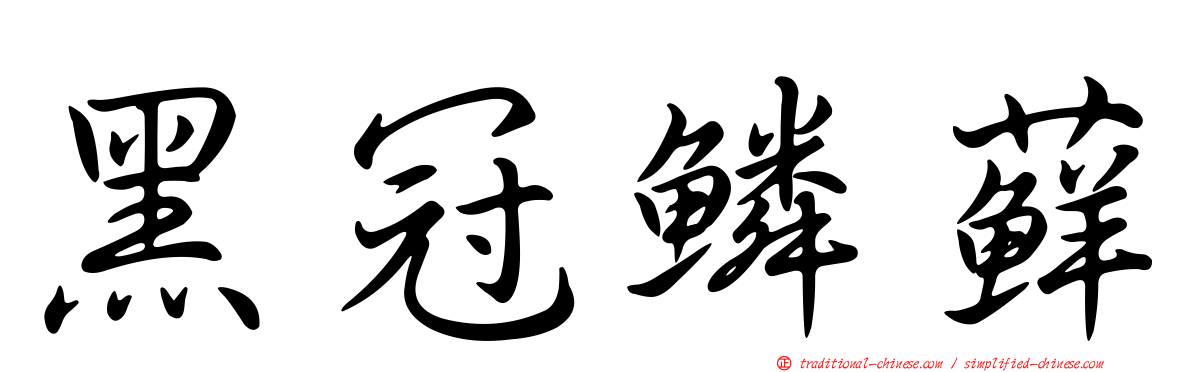 黑冠鱗蘚
