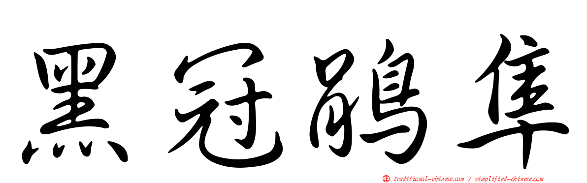 黑冠鵑隼