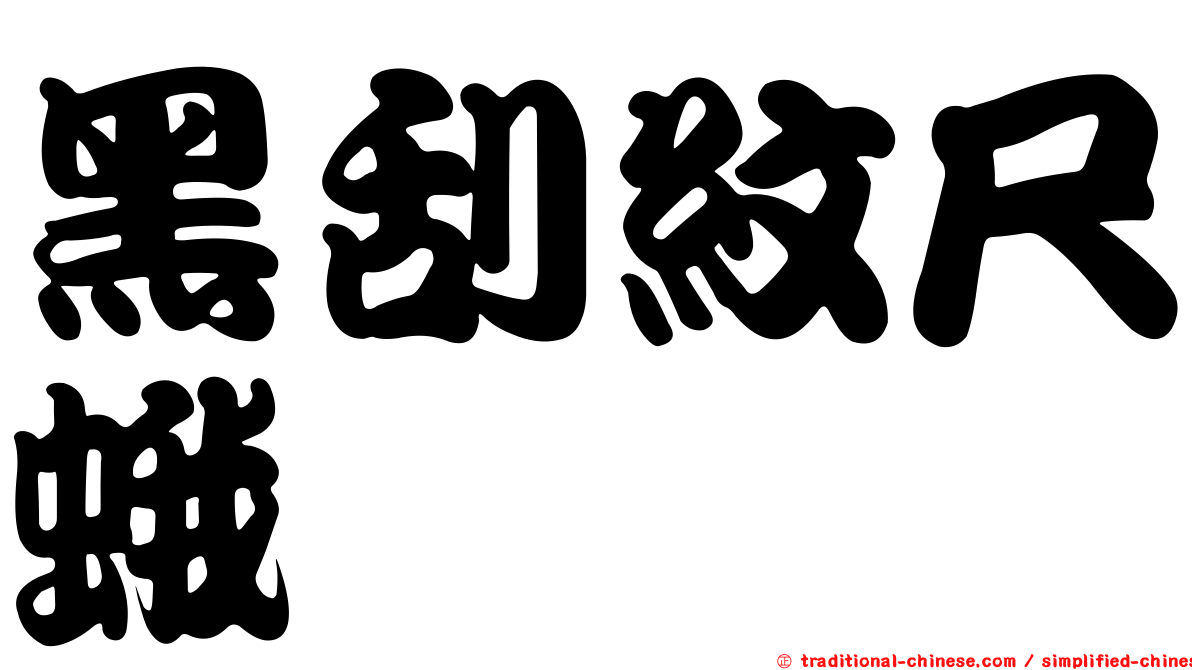 黑刮紋尺蛾
