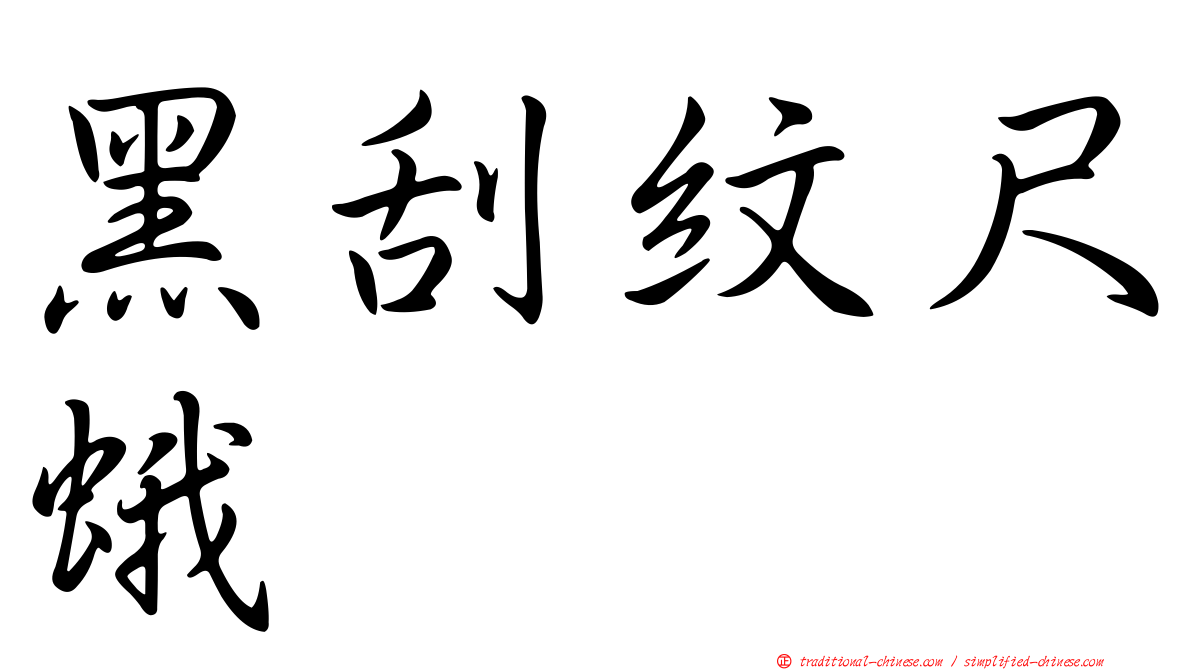 黑刮紋尺蛾