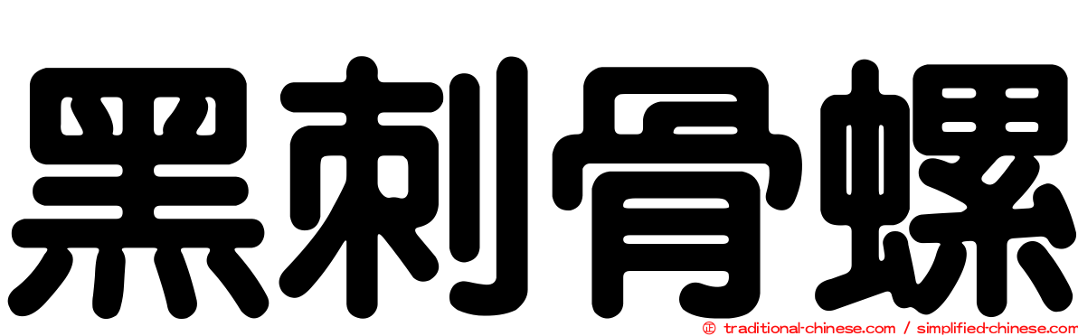 黑刺骨螺