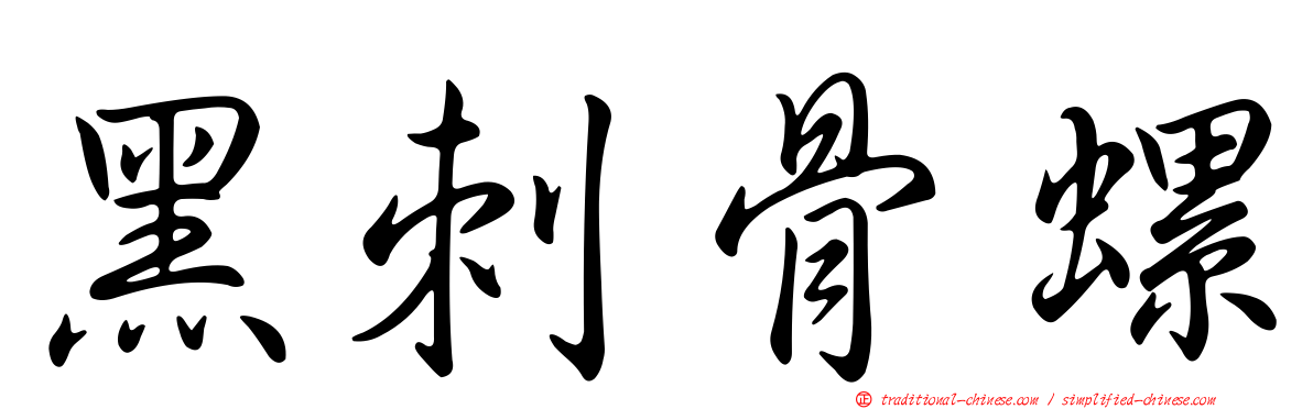 黑刺骨螺