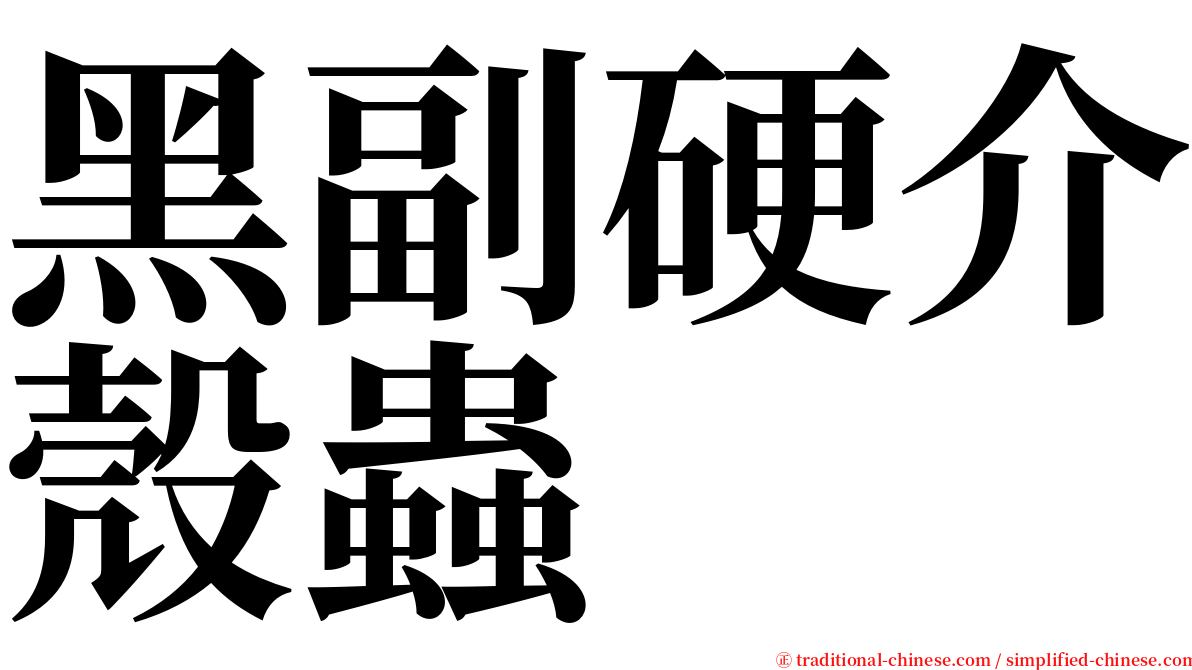 黑副硬介殼蟲 serif font