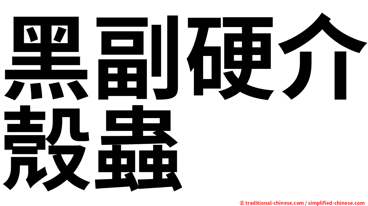黑副硬介殼蟲