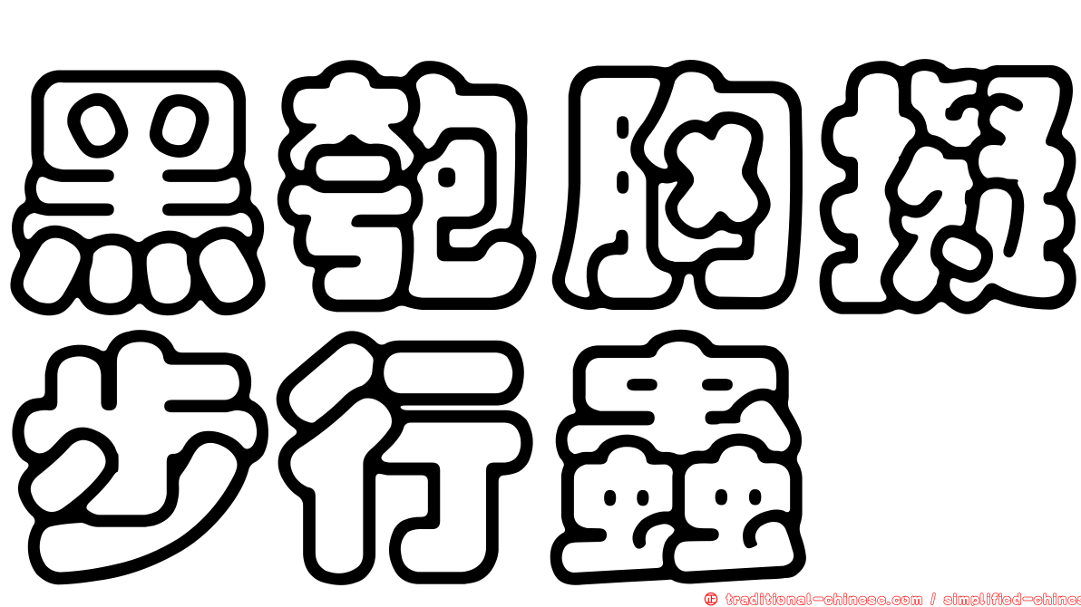 黑匏胸擬步行蟲