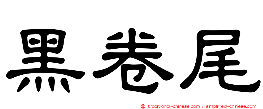 黑卷尾