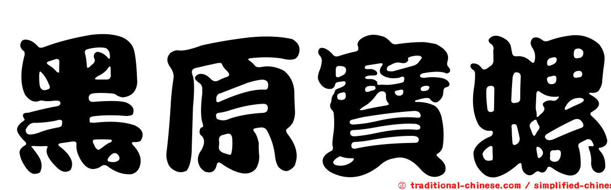 黑原寶螺