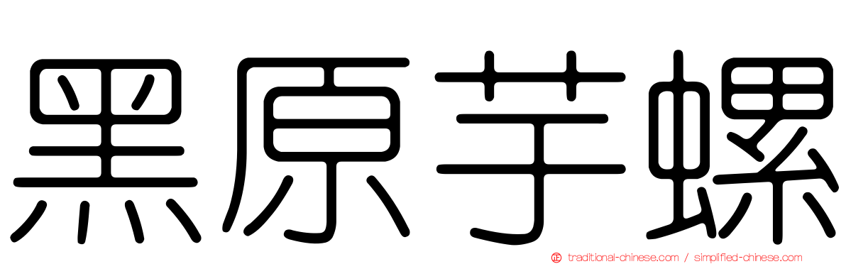 黑原芋螺