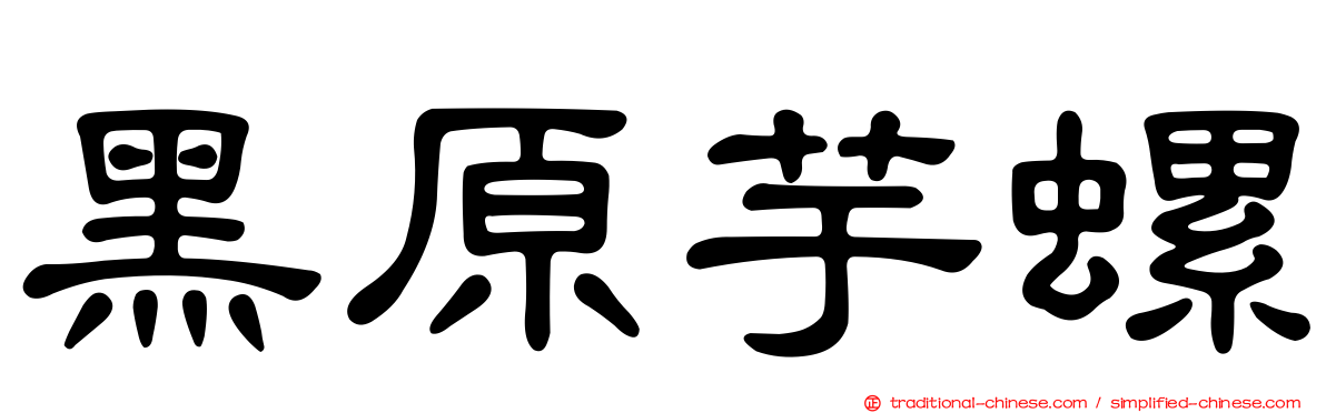 黑原芋螺