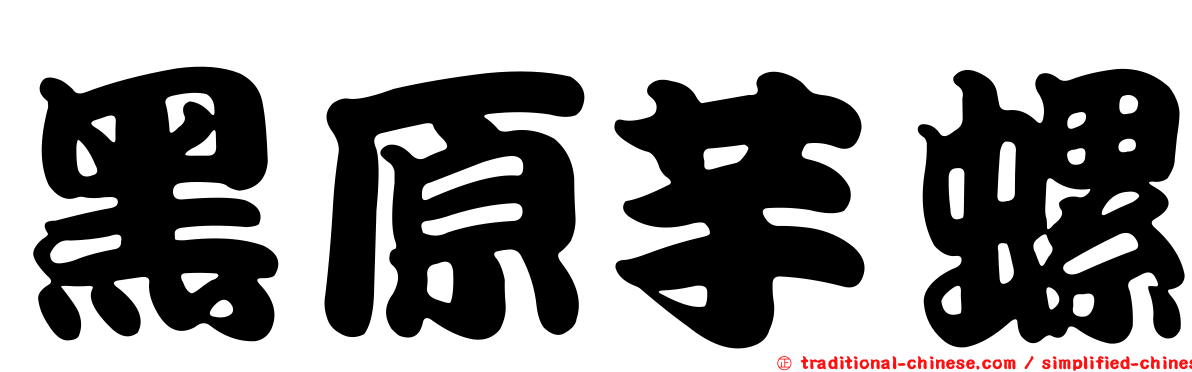 黑原芋螺